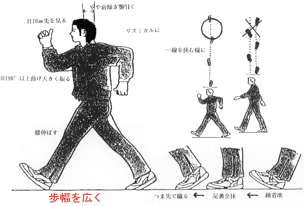 正しいウォーキング